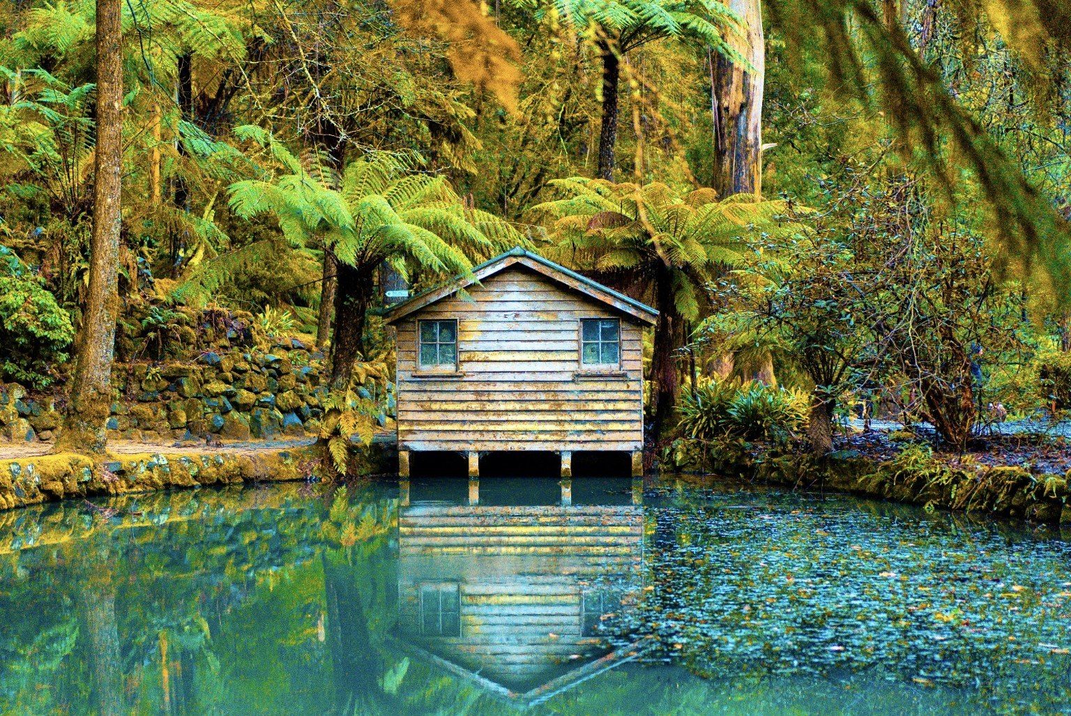 Alfred Nicholas Memorial Gardens in the Dandenong Ranges, Victoria.