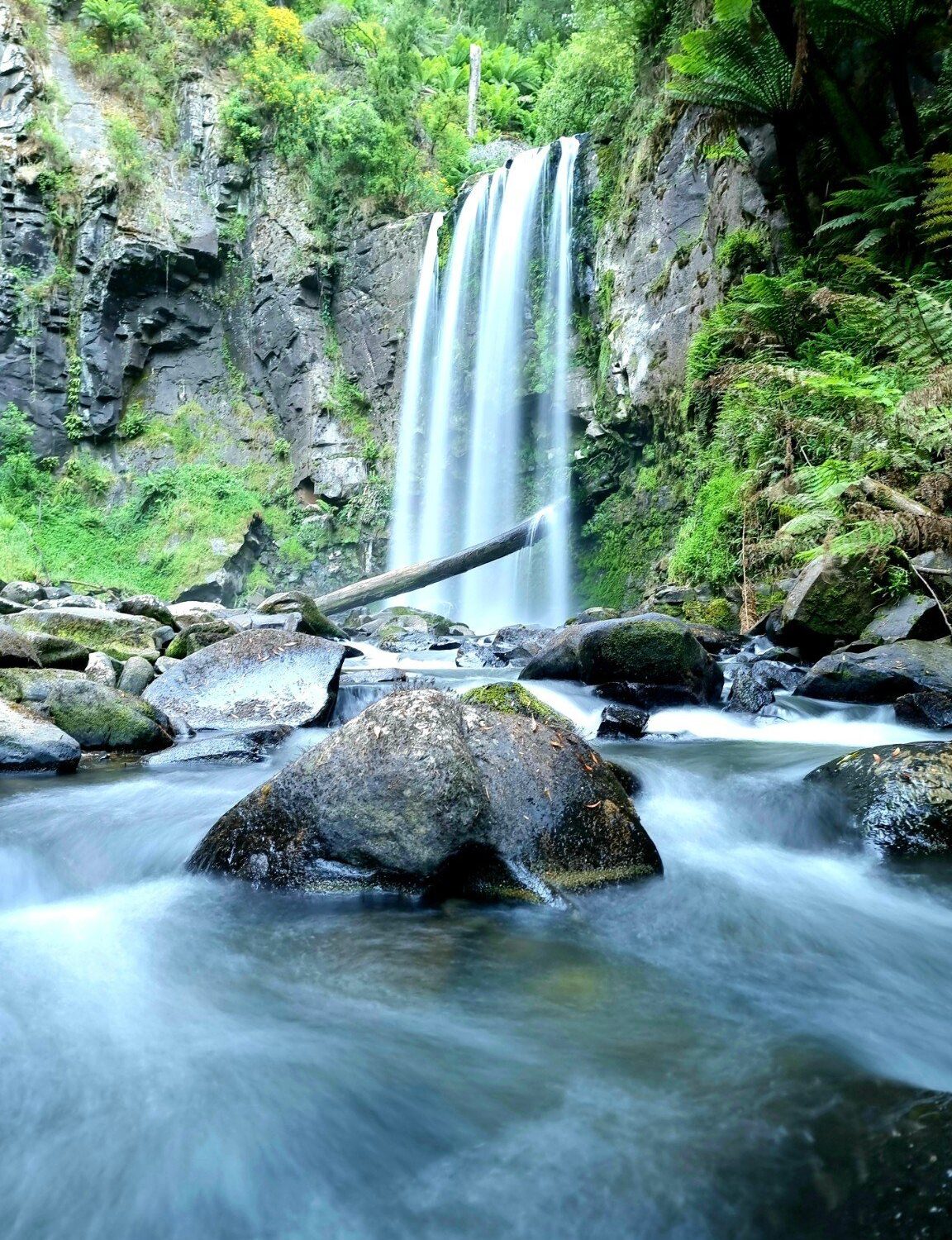Hopetoun Falls in the Great Otway National Park area, Victoria.