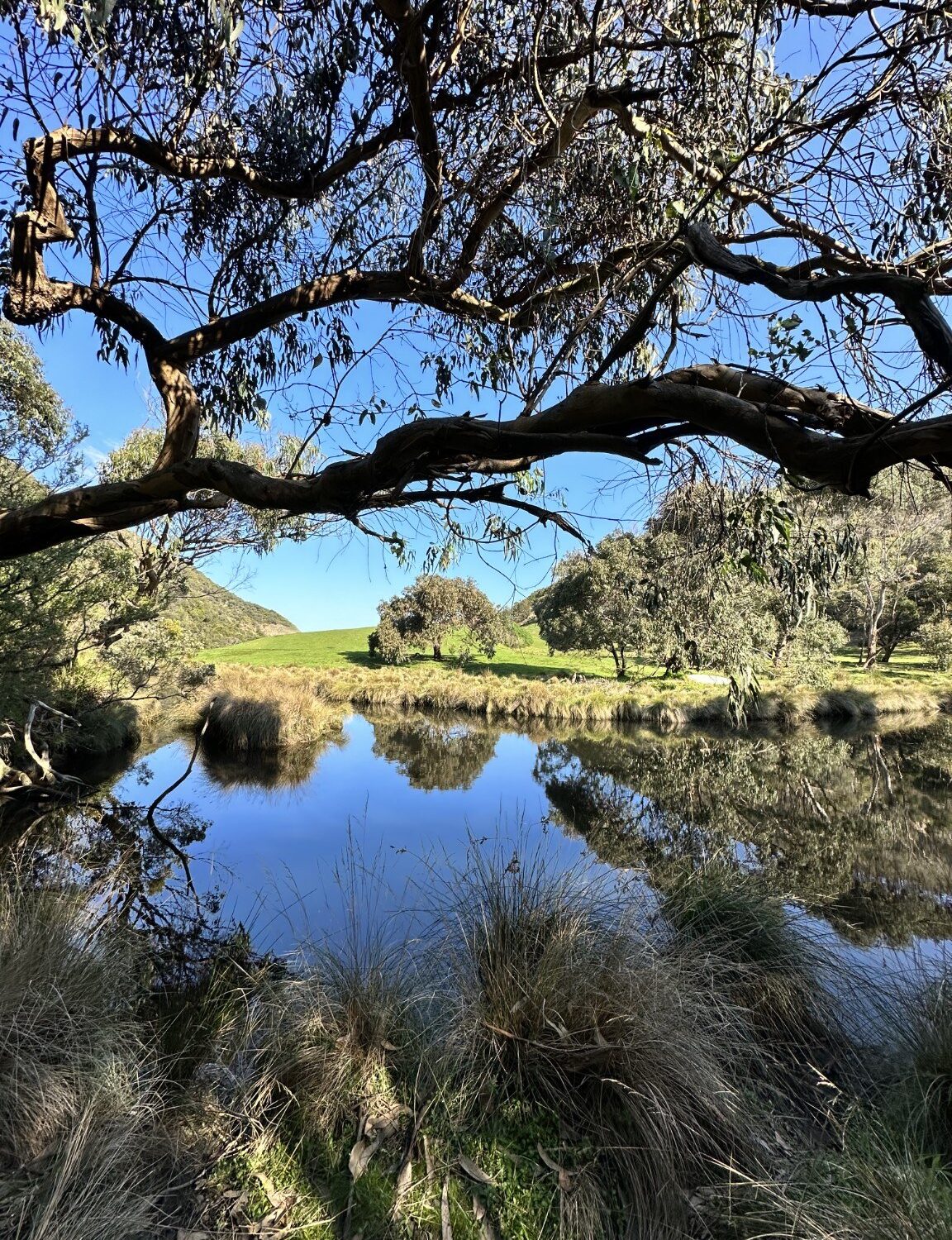 Ocean Walk, Lorne, Victoria.